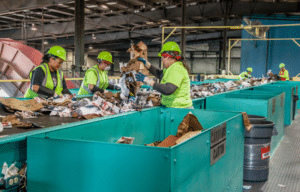 workers separate paper products